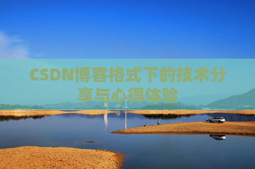 CSDN博客格式下的技术分享与心得体验